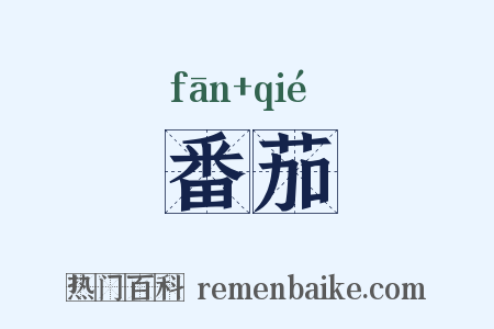番茄是什么意思的图片